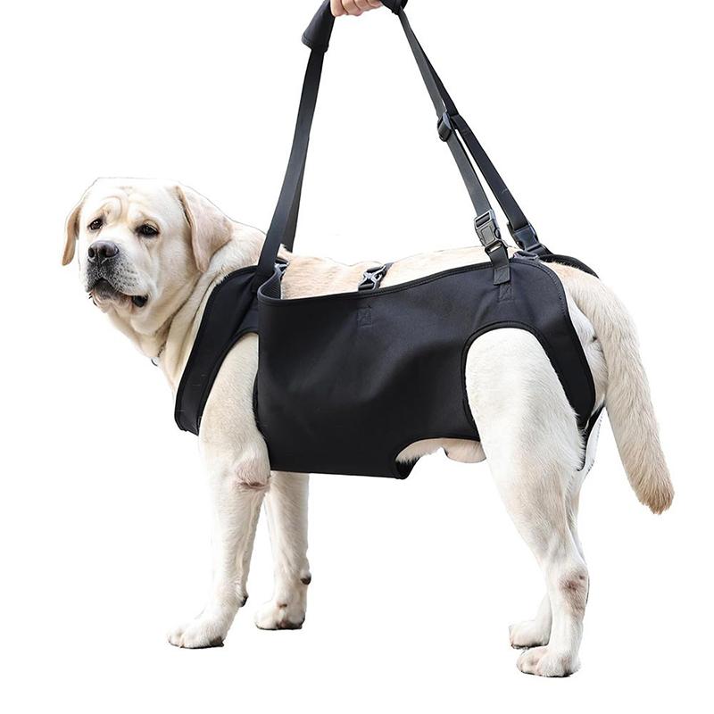 Harness Climbing Adjustable - Imbracatura di Supporto per Cani Anziani,