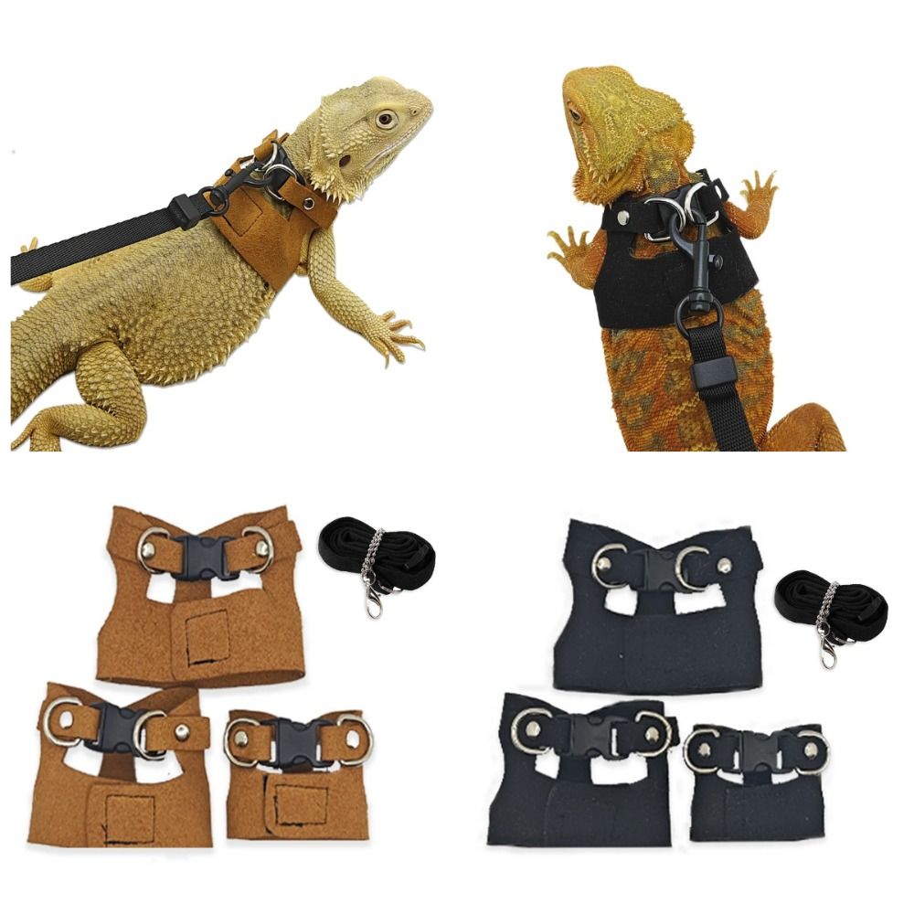 Harness Climbing Adjustable - Set di Pettorina e Guinzaglio Regolabile