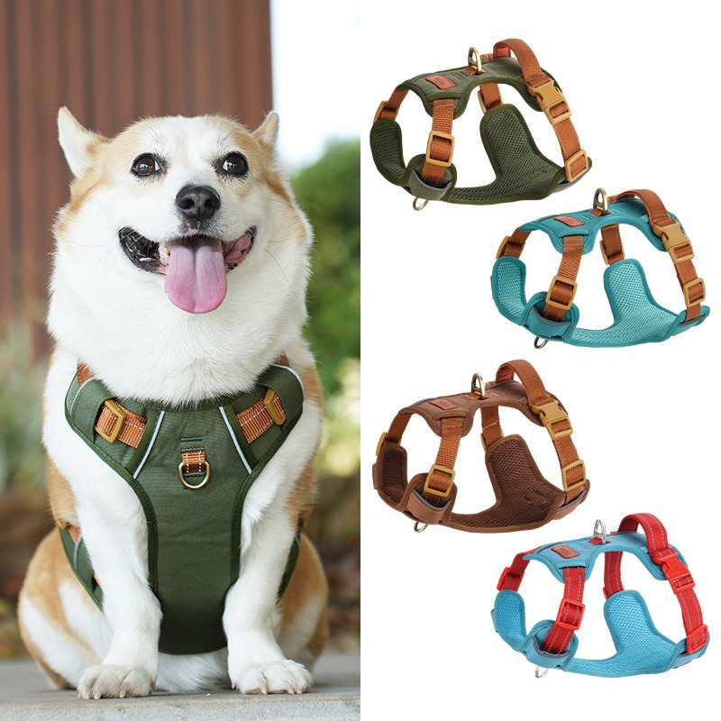 Imbracatura per animali domest - Harness Climbing Adjustable recensione e prezzo