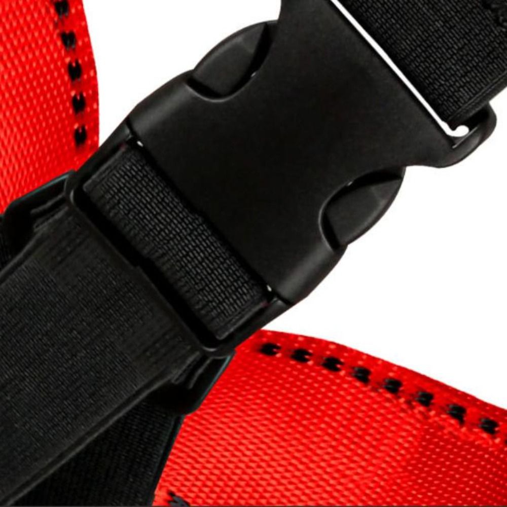 Imbracatura di Sicurezza per A - Harness Climbing Adjustable recensione e prezzo