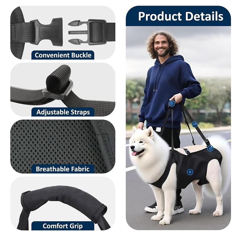 Imbracatura di Supporto per Ca - Harness Climbing Adjustable recensione e prezzo
