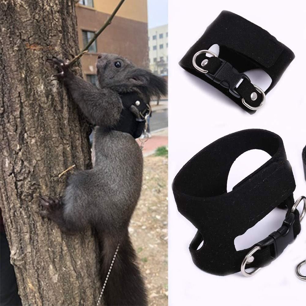 Set di Pettorina e Guinzaglio  - Harness Climbing Adjustable recensione e prezzo
