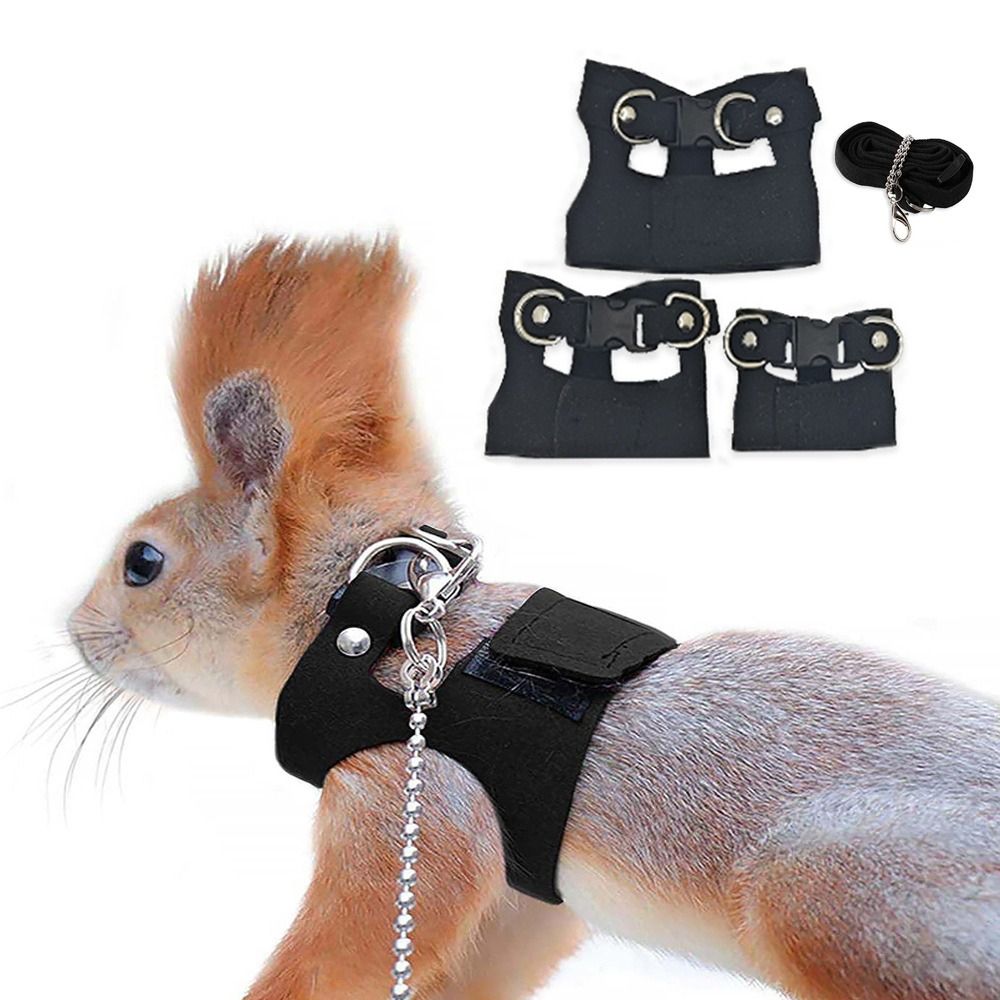Set di Pettorina e Guinzaglio  - Harness Climbing Adjustable recensione e prezzo