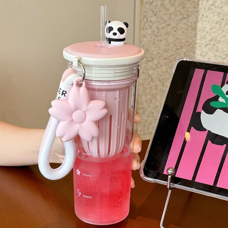 Bottiglia d'acqua Kawaii da 65 - Water Filter Straw recensione e prezzo